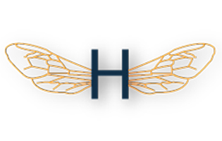 Hive logo