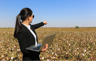 Woman Holding Laptop and Pointing to a Field of Crops