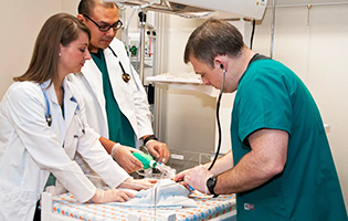 Respiratory Therapy students practicing skills