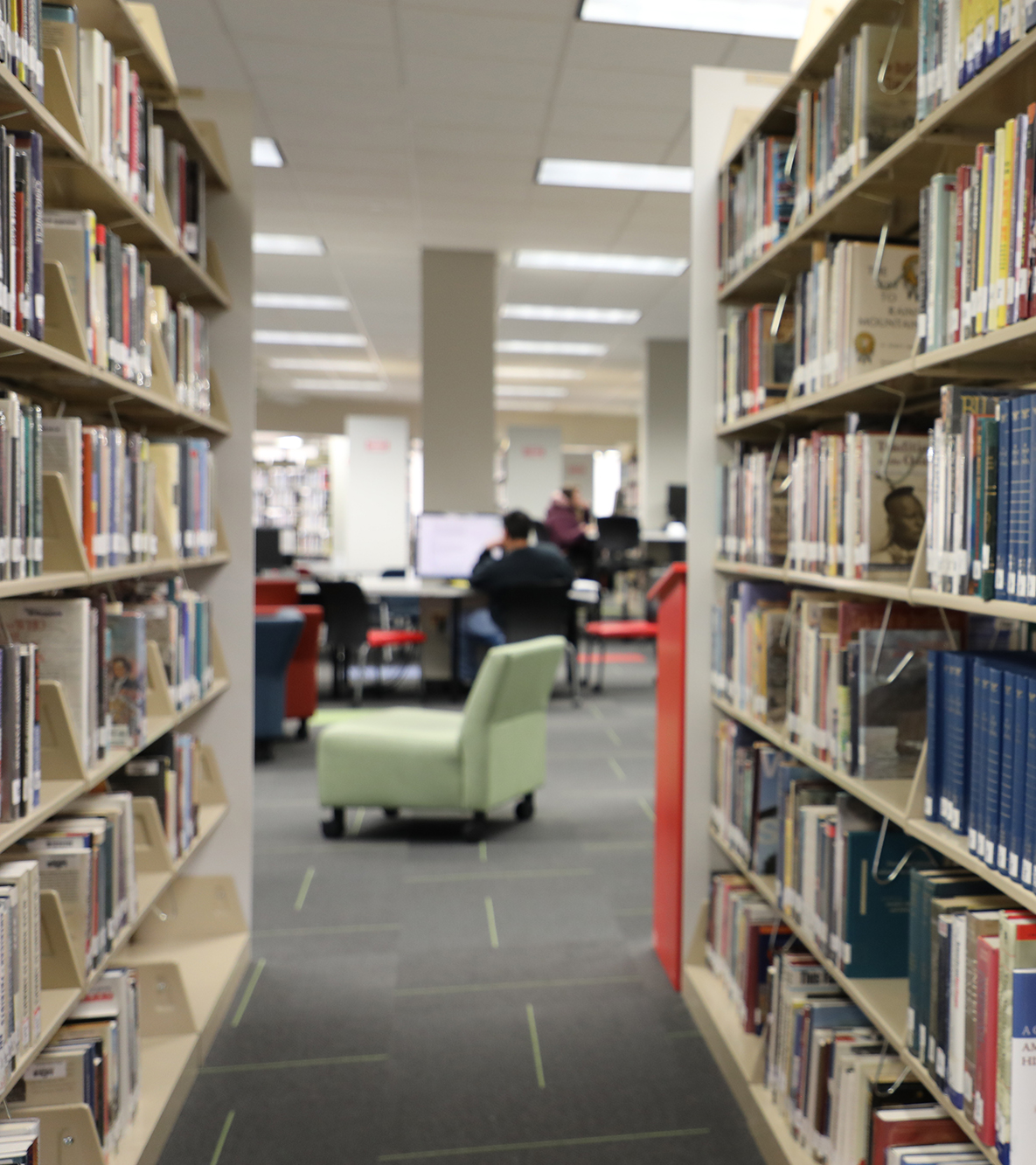 Book Shelves